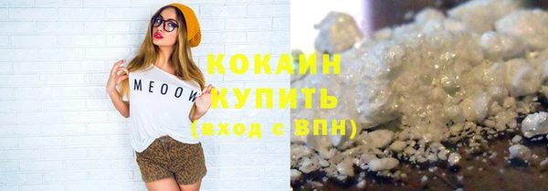 сатива Инта