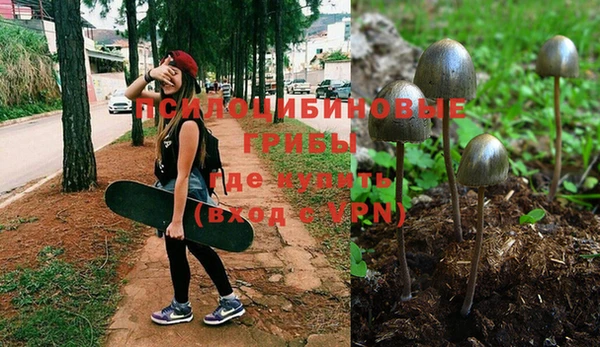 кокаин премиум Каменск-Шахтинский