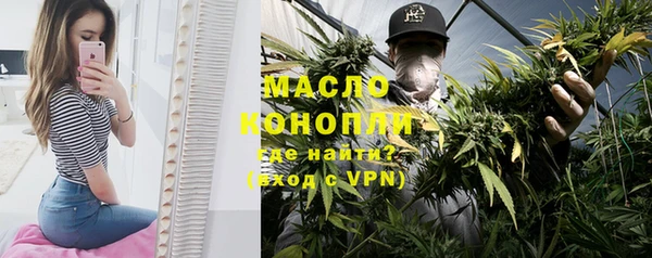 сатива Инта