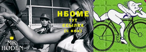 сатива Инта