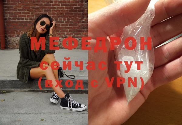 сатива Инта