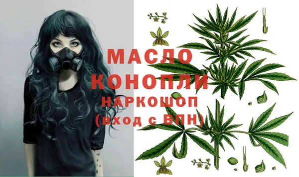 сатива Инта