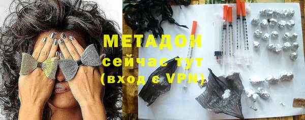 сатива Инта