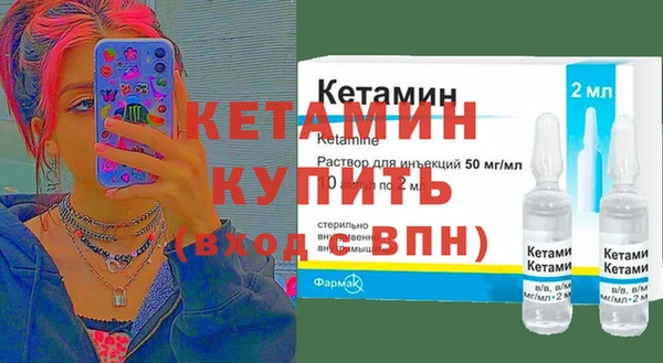 сатива Инта