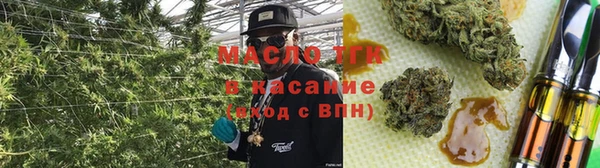 сатива Инта