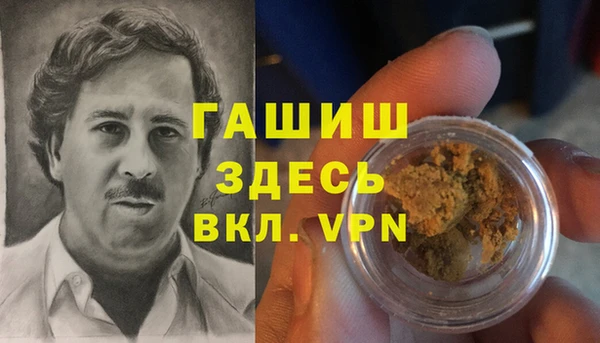 сатива Инта