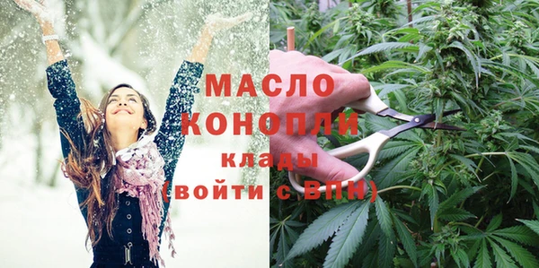 сатива Инта