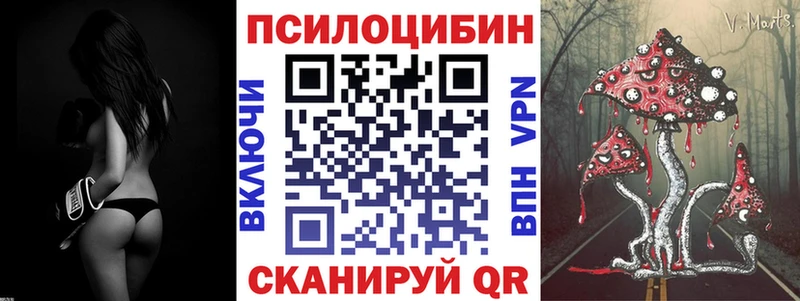 Галлюциногенные грибы Cubensis  Купить  Тейково 